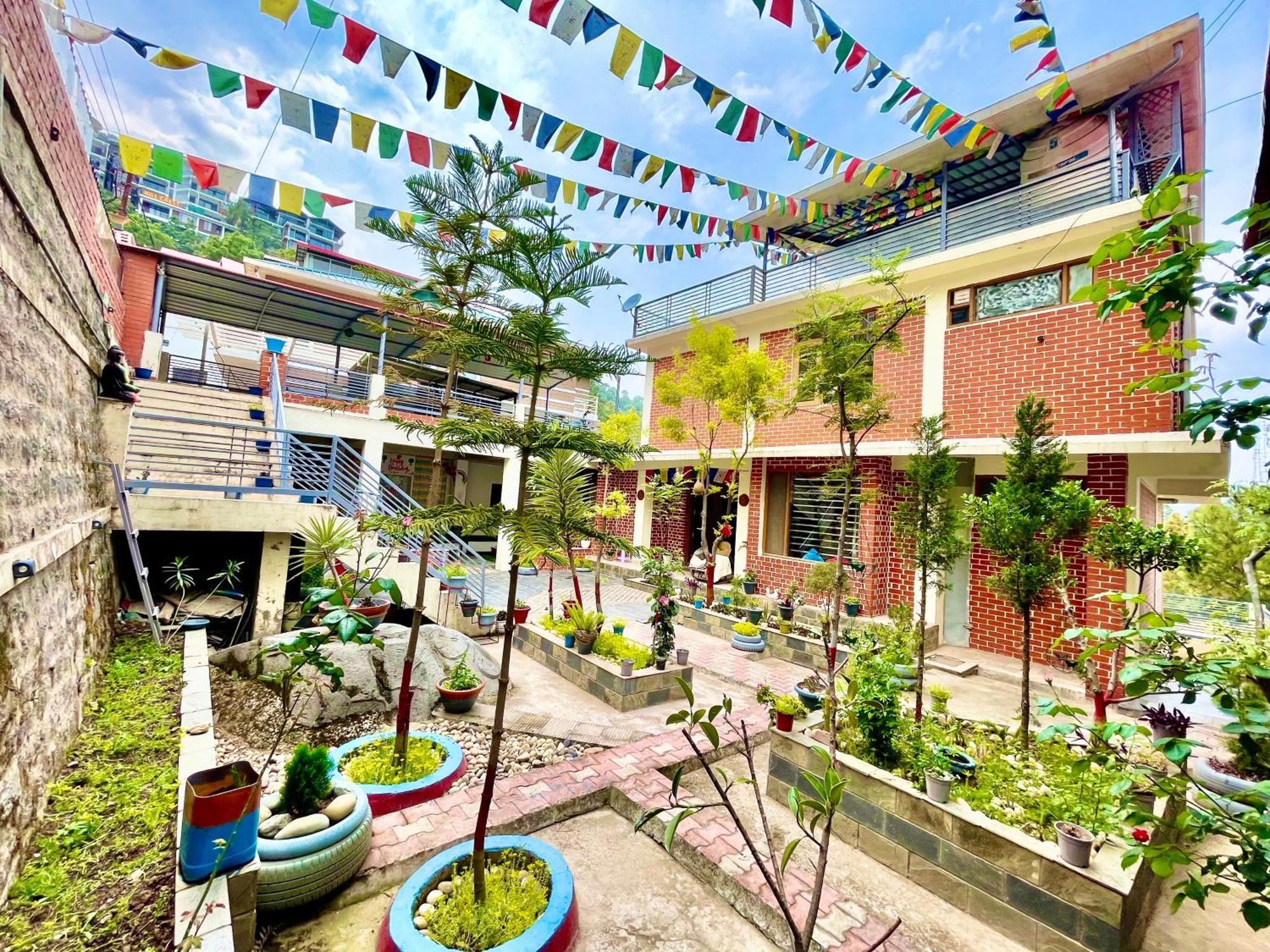 The Auriga 3Bhk Fully Entair Villa With Bonfire In Kasauli I Pvt Stay I Open Air Terrace I Kitchen Livingroom I Lawn Bonfire I Gaming Zone Exterior foto
